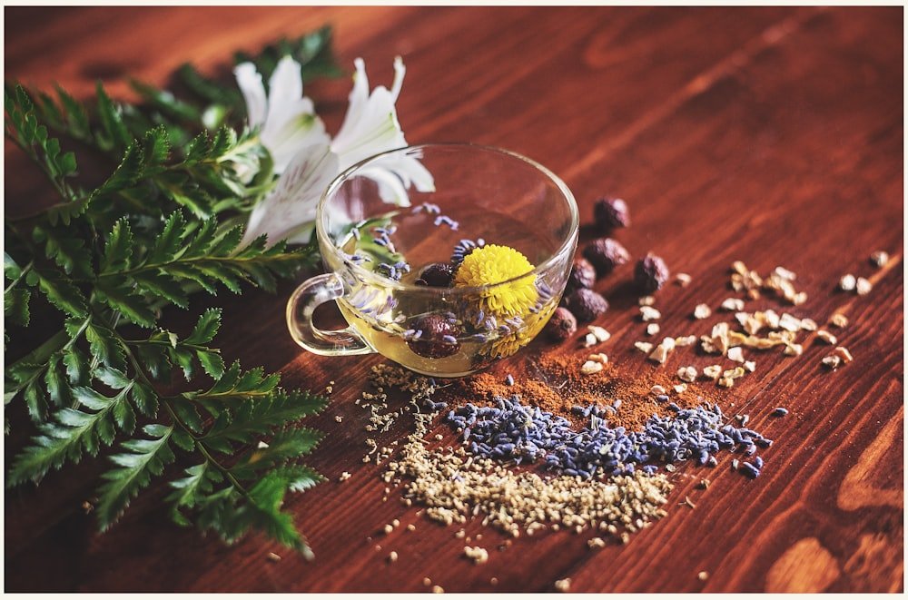 The Power of Naturopathy: Healing Without Medicines